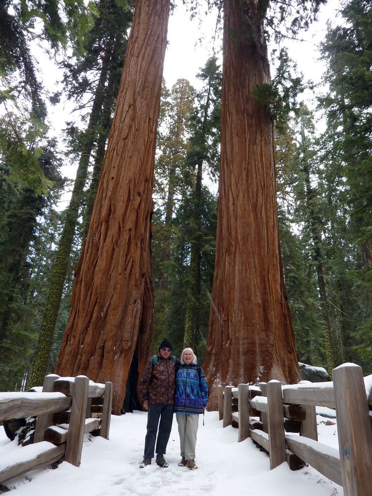 Sequoia parc(26).JPG